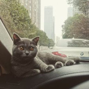 Meet your Posher, Andy